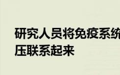 研究人员将免疫系统与CKD的盐敏感性高血压联系起来