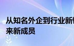 从知名外企到行业新锐：永道致远核心团队迎来新成员