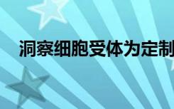 洞察细胞受体为定制癌症药物铺平了道路