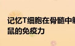 记忆T细胞在骨髓中躲避增加了限制饮食的小鼠的免疫力