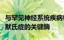 与罕见神经系统疾病相关的基因调节阿尔茨海默氏症的关键酶