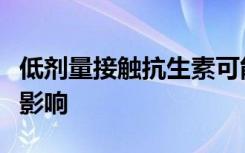 低剂量接触抗生素可能会对肠道细菌产生重大影响