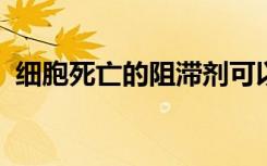 细胞死亡的阻滞剂可以加速恢复并挽救生命