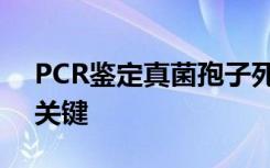 PCR鉴定真菌孢子死亡云是阻止入侵蛾类的关键