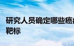 研究人员确定哪些癌症突变是免疫治疗的最佳靶标