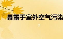 暴露于室外空气污染物改变肺气肿肺功能