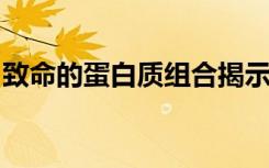 致命的蛋白质组合揭示了病毒感染的新药靶标