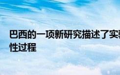 巴西的一项新研究描述了实验室开发的人类细胞中的神经炎性过程