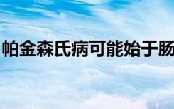 帕金森氏病可能始于肠道新大鼠研究得出结论