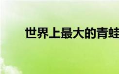 世界上最大的青蛙建造了自己的池塘