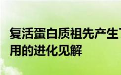 复活蛋白质祖先产生了它们在人体细胞中的作用的进化见解