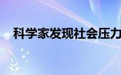 科学家发现社会压力改变了您的肠道细菌