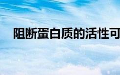 阻断蛋白质的活性可恢复老年小鼠的认知