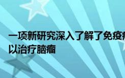 一项新研究深入了解了免疫疗法 有一天可能会直接送入大脑以治疗脑瘤