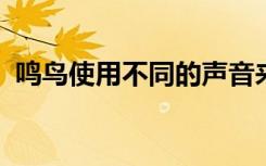 鸣鸟使用不同的声音来传达不同类型的信息