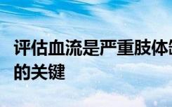 评估血流是严重肢体缺血患者早期诊断和治疗的关键