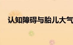 认知障碍与胎儿大气污染暴露之间的联系