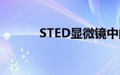 STED显微镜中的光漂白克服了