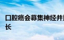 口腔癌会募集神经并重编程神经以促进肿瘤生长