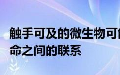 触手可及的微生物可能缺少简单细胞与复杂生命之间的联系