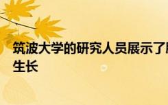 筑波大学的研究人员展示了肿瘤如何破坏免疫系统的生存和生长