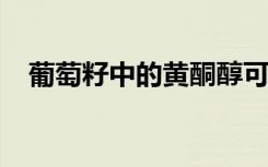 葡萄籽中的黄酮醇可预防肥胖相关的炎症