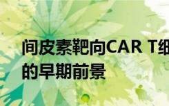 间皮素靶向CAR T细胞疗法显示实体瘤患者的早期前景