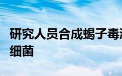 研究人员合成蝎子毒液化合物来对抗高传染性细菌