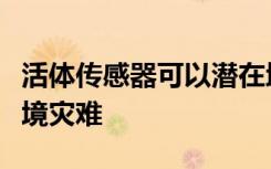 活体传感器可以潜在地防止燃料泄漏造成的环境灾难