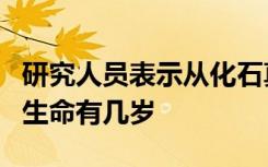 研究人员表示从化石真菌可以了解到地球上的生命有几岁