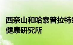 西奈山和哈索普拉特纳研究所成立了新的数字健康研究所