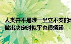 人类并不是唯一坐立不安的动物 小鼠的神经活动表明他们在做出决定时似乎也很烦躁