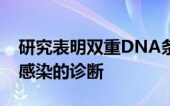 研究表明双重DNA条形码如何帮助改善真菌感染的诊断