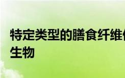 特定类型的膳食纤维促进人体肠道中的有益微生物