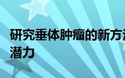 研究垂体肿瘤的新方法具有更好的诊断和治疗潜力