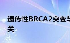 遗传性BRCA2突变与儿童淋巴瘤风险增加有关