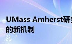 UMass Amherst研究人员确定了促进乳腺癌的新机制