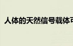 人体的天然信号载体可以帮助黑色素瘤扩散