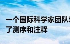 一个国际科学家团队对巨型鱿鱼的基因组进行了测序和注释