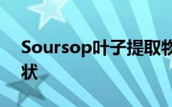 Soursop叶子提取物可以预防纤维肌痛的症状