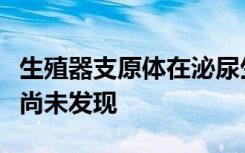 生殖器支原体在泌尿生殖道中存活的反应关键尚未发现