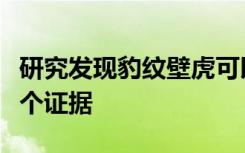 研究发现豹纹壁虎可以制造新的脑细胞的第一个证据