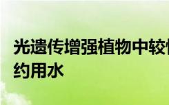 光遗传增强植物中较快的气孔可改善生长并节约用水