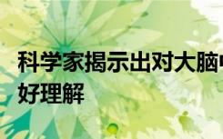 科学家揭示出对大脑中味觉信息编码方式的更好理解