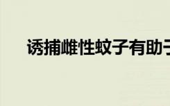 诱捕雌性蚊子有助于抑制基孔肯雅病毒