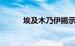 埃及木乃伊揭示的持久防腐食谱