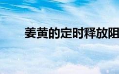 姜黄的定时释放阻止癌细胞体外生长