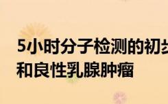 5小时分子检测的初步研究准确地区分了恶性和良性乳腺肿瘤