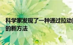 科学家发现了一种通过拉动插头能量发生器杀死胰腺癌细胞的新方法