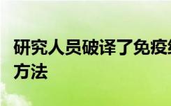 研究人员破译了免疫细胞检测感染和癌症的新方法